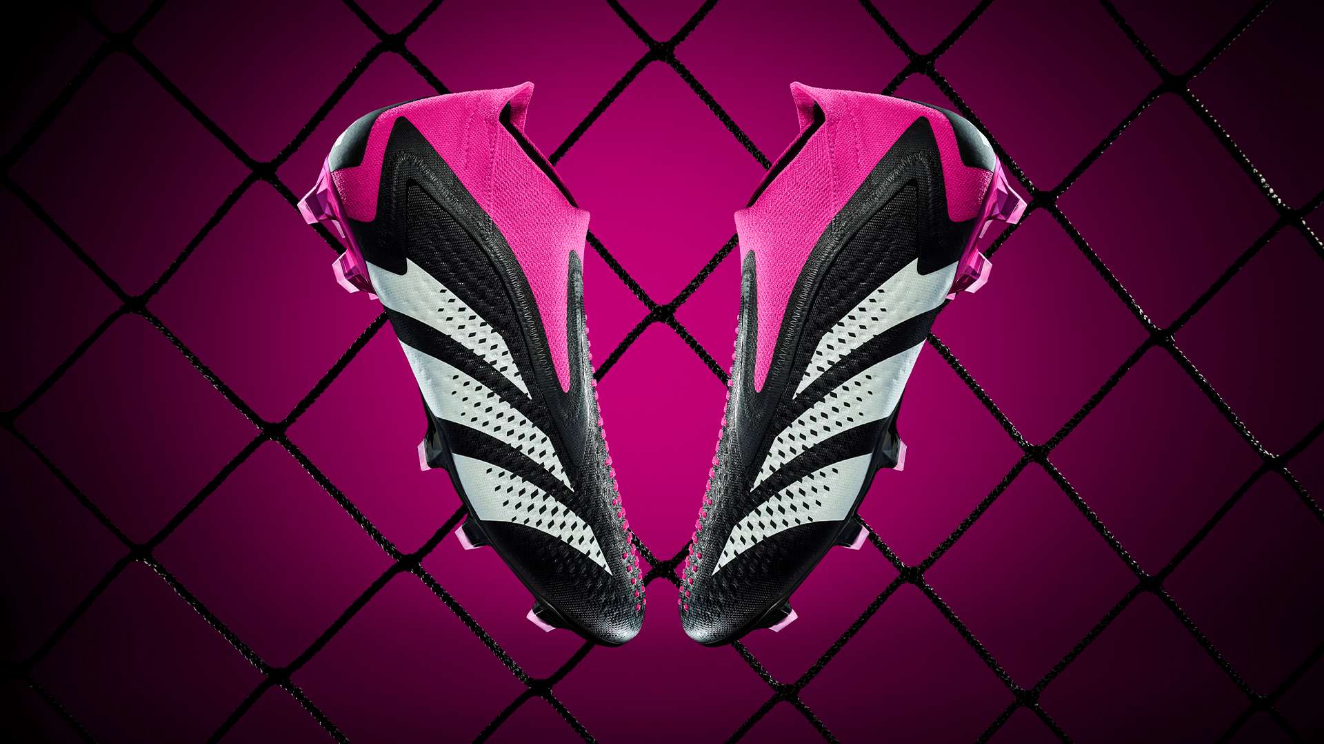 赛季的欧洲 赛季的欧洲