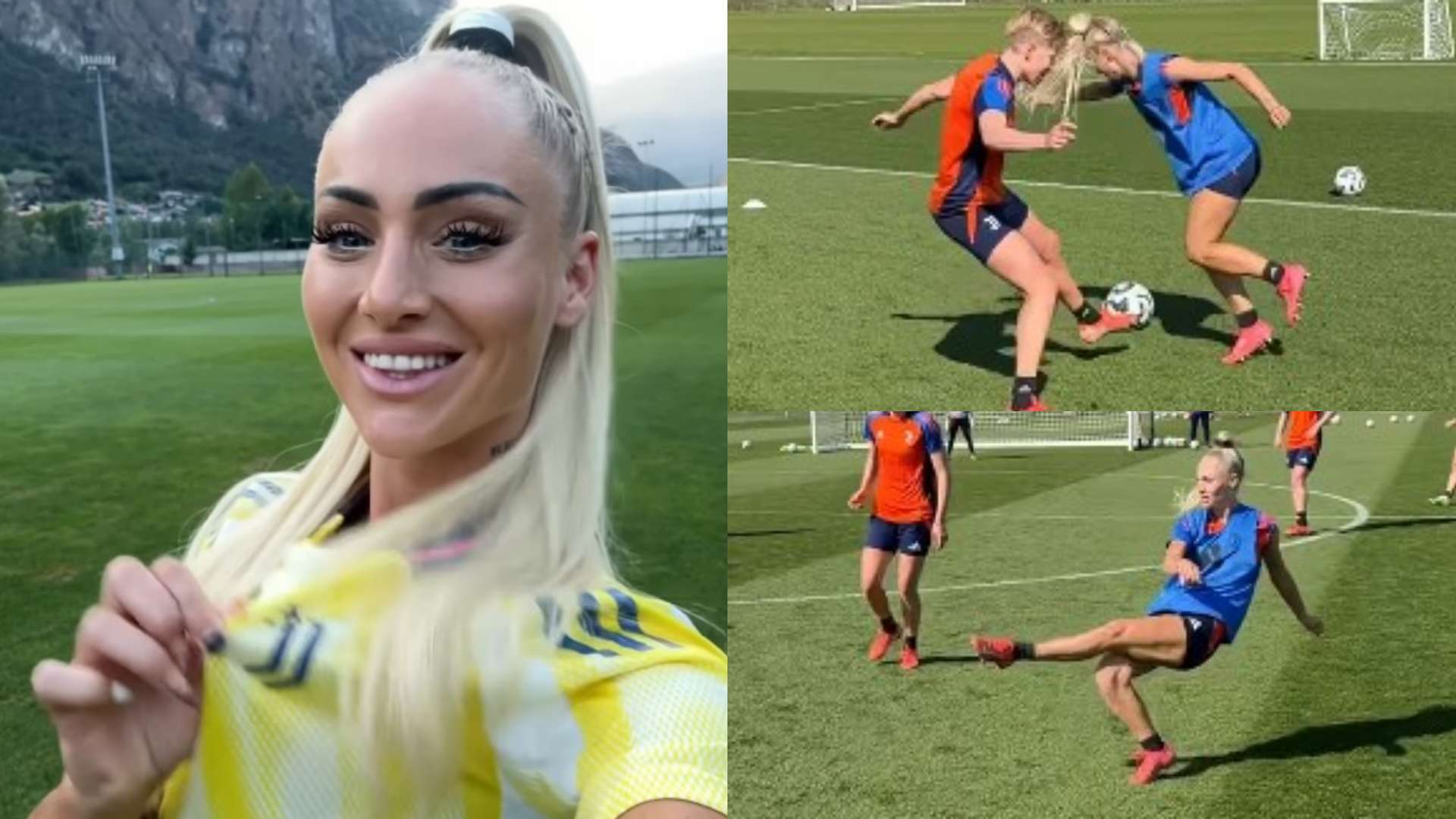 但他们在国 但他们在国